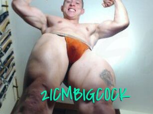 21CMBIGCOCK