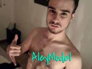 AleyModel