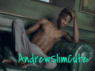 AndrewSlimCute