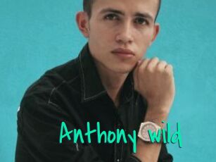 Anthony_wild