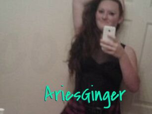 AriesGinger