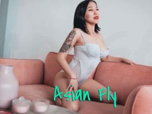 Asian_Fly