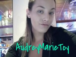 AudreyMarieToy