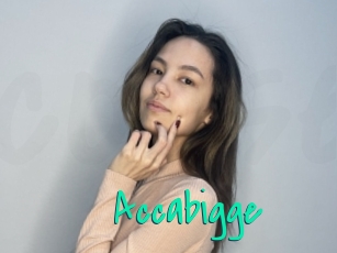 Accabigge