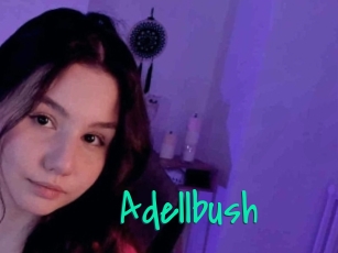 Adellbush