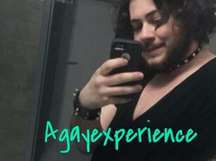 Agayexperience