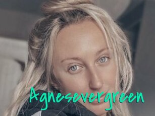 Agnesevergreen