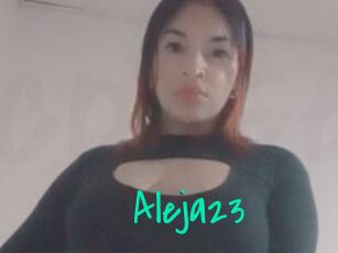 Aleja23