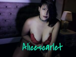 Alicescarlet