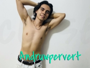 Andruwpervert