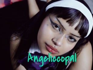 Angeliccopal