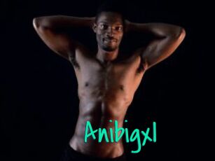 Anibigxl