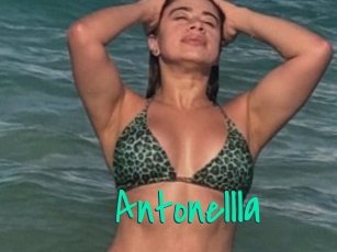 Antonellla