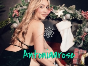 Antoniaarose