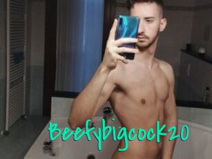 Beefybigcock20