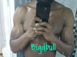 Bigdbull