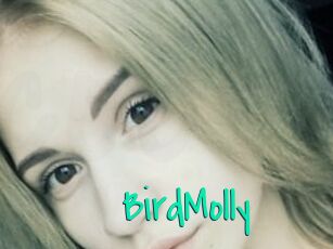 BirdMolly