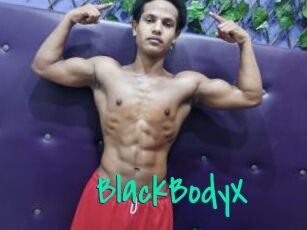 BlackBodyX