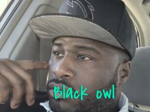 Black_owl