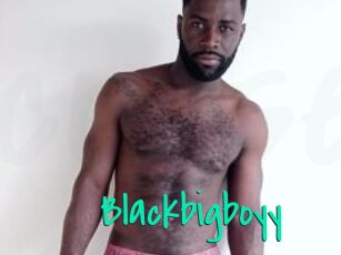 Blackbigboyy