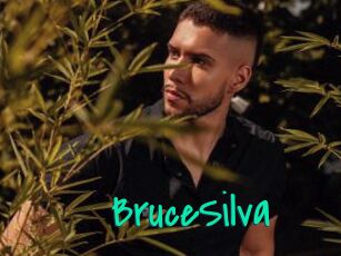 BruceSilva