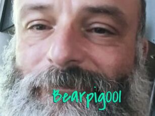 Bearpig001