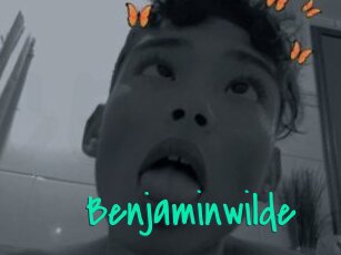 Benjaminwilde