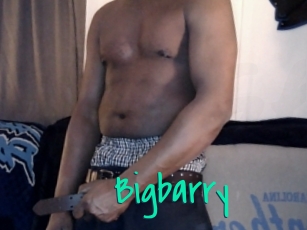 Bigbarry