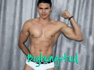 Bighungstud