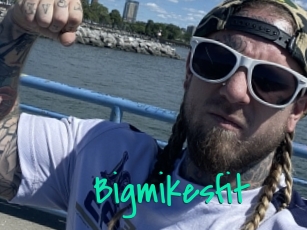 Bigmikesfit