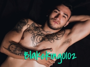 Blakeking0102