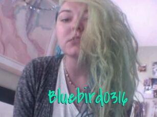 Bluebird0316