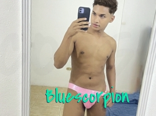 Bluescorpion