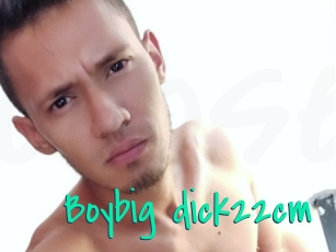 Boybig_dick22cm