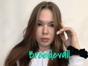 Breedevall