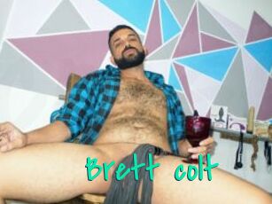 Brett_colt