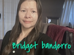 Bridget_banderro