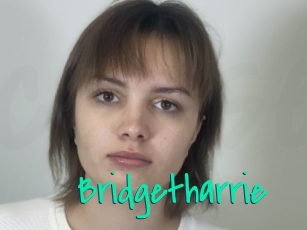 Bridgetharrie