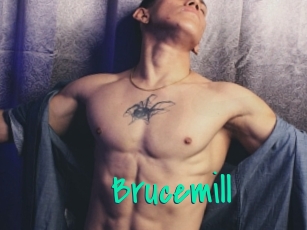 Brucemill