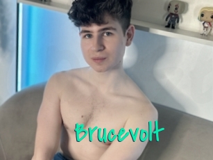 Brucevolt