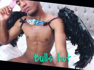 Bulls_hot