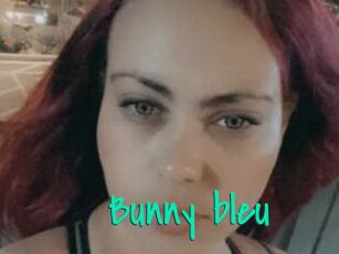 Bunny_bleu