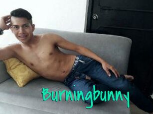 Burningbunny