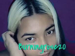 Burningrose20