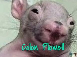 Colon_Plowell