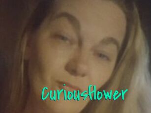 Curiousflower