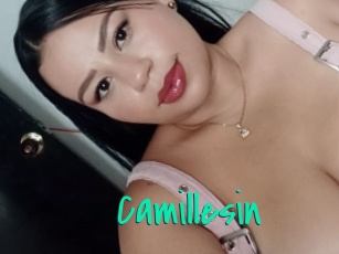 Camillesin