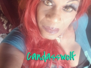 Candasswolf