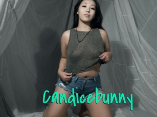 Candicebunny