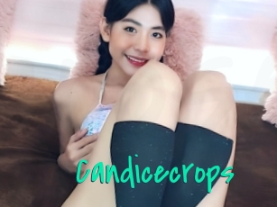 Candicecrops